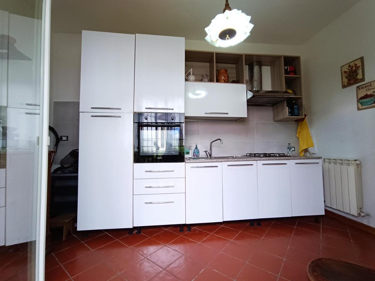 Cozy Apartment Near The City Walls Lucca Exterior photo